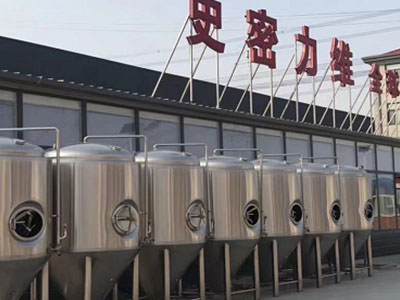 贵州精酿啤酒设备厂—市场规模与跨界新需求